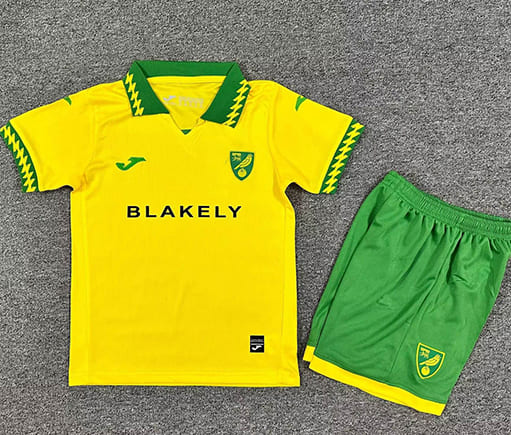 Maillot Norwich City Domicile 2025 2026 Enfant - Jaune Vert