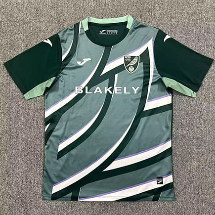 Maillot Norwich City Extérieur 2025 2026 -Vert Blanc