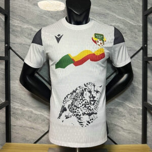 Maillot Match Bénin 2025 2026 Exterieur - Blanc