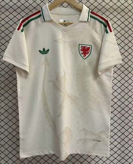 Maillot Pays de Galles 2026 2027 Exterieur - Blanc