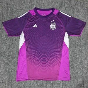Maillot Argentine 2025 2026 Gardien de but - Violet