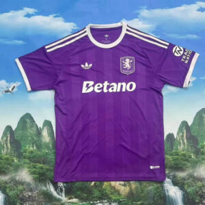 Maillot Aston Villa 2025 2026 Gardien de but - Violet