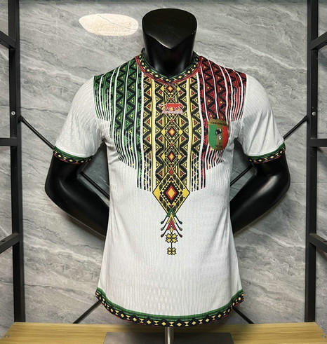 Maillot Match Mali 2025 2026 - Blanc