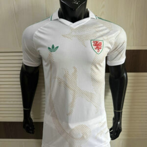 Maillot Match Pays de Galles 2026 2027 Exterieur - Blanc