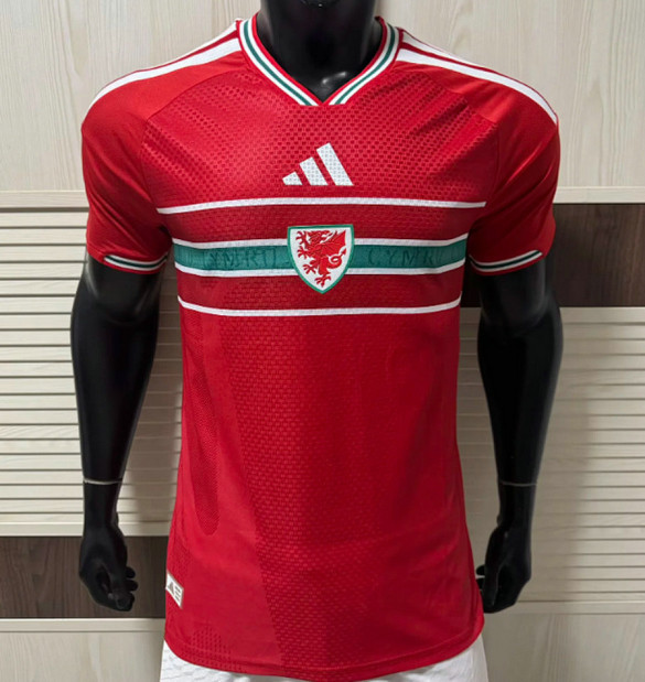 Maillot Match Pays de Galles Coupe du Monde 2026 Domicile - Rouge