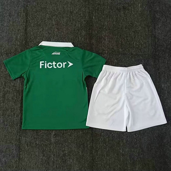 Maillot Palmeiras Enfant 2025 2026 Édition Spéciale