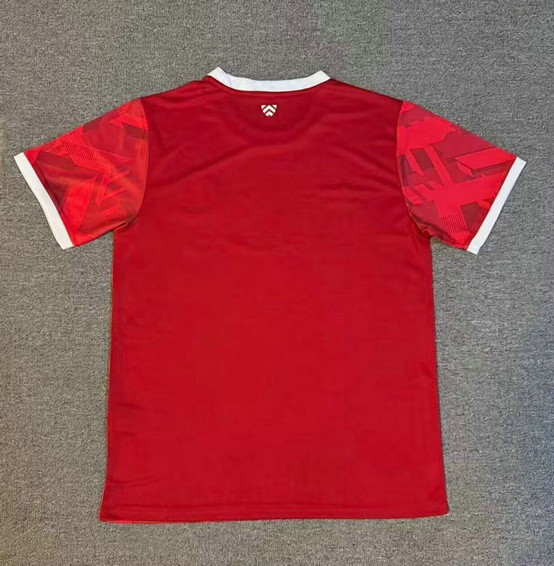 Maillot Arminia Bielefeld 2025 2026 Third - Rouge