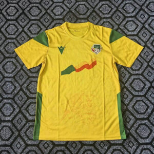 Maillot Bénin 2025 2026 Domicile - Jaune