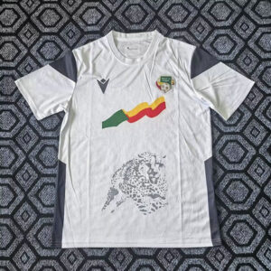 Maillot Bénin 2025 2026 Exterieur - Blanc