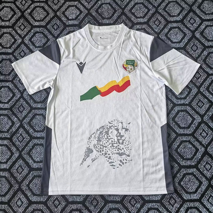 Maillot Bénin 2025 2026 exterieur Blanc Maillot Bénin 2025 2026 Exterieur - Blanc