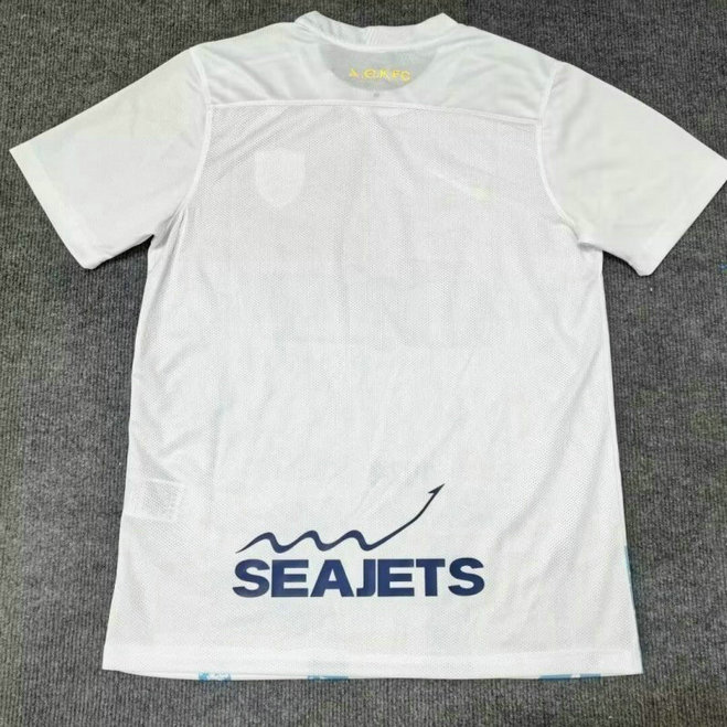 Maillot AEK Athens 2025 2026 Third - Blanc