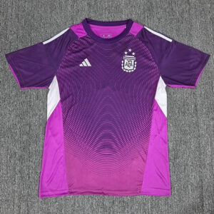 Maillot de foot Argentine - 2025/2026 - gardien de but Violet