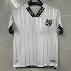 Maillot Figueirense 2026 - Maillot Figueirense 2026 2027 exterieur
