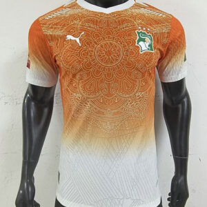 Maillot Match Côte d'Ivoire 2026 2027 Concept - Orange et Blanc