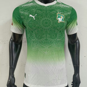 Maillot Côte d'Ivoire 2026 - Match Concept Vert et Blanc Mandala