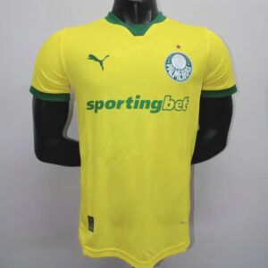 Maillot Match 2025 Match - Maillot Match Palmeiras 2025 2026 Third Jaune