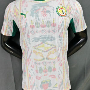 Maillot de foot Match Match Sénégal Coupe du Monde