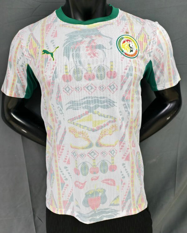 Maillot de foot Match Match Sénégal Coupe du Monde