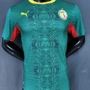 Maillot de foot Match Match Sénégal Coupe du Monde