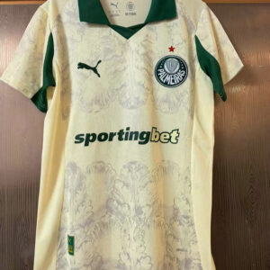 Maillot Palmeiras 2025 - Maillot Palmeiras 2025 2026 Third