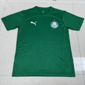 Maillot Palmeiras 2025 - Maillot Palmeiras 2025 2026 concept vert