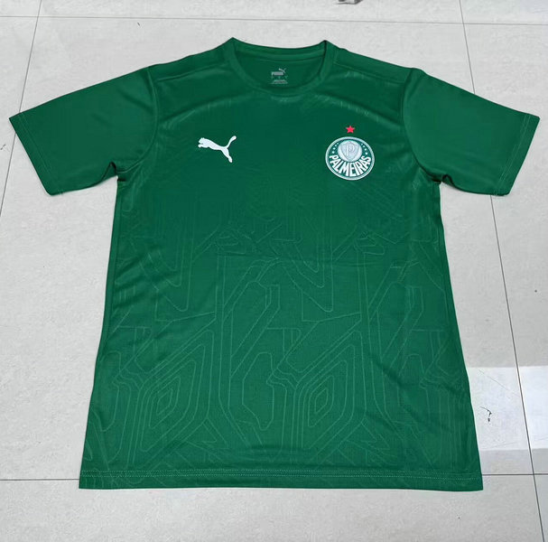 Maillot-Palmeiras-2025-2026-concept-vert-1.jpg