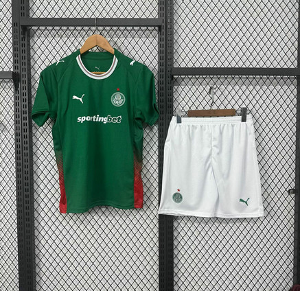 Maillot Palmeiras Enfant 2026 2027 domicile vert