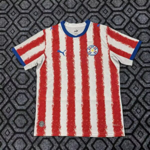 Maillot de foot Paraguay Coupe du Monde - 2026 - domicile