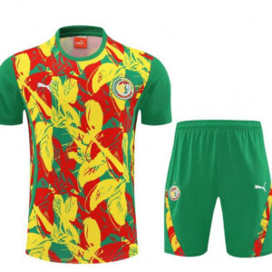 Ensemble Maillot de foot Sénégal 2025/2026 - Couleur