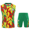 Ensemble Maillot de foot Sénégal 2025/2026 - Couleur Sans Manches