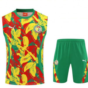 Ensemble Maillot de foot Sénégal 2025/2026 - Couleur Sans Manches