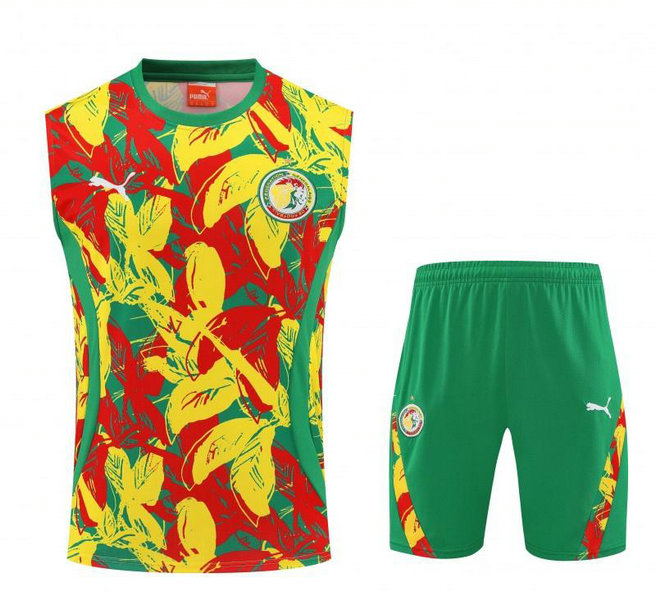 Ensemble Maillot de foot Sénégal 2025/2026 - Couleur Sans Manches