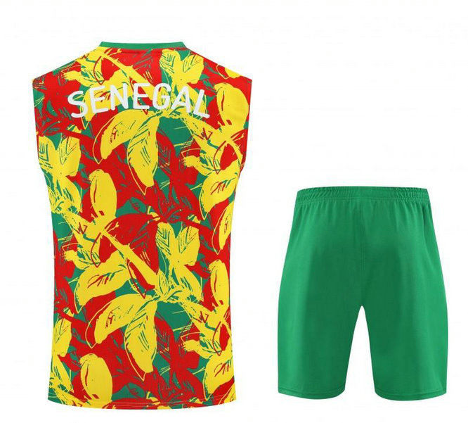 Ensemble Maillot de foot Sénégal 2025/2026 - Couleur Sans Manches