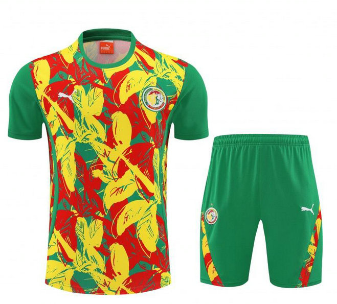 Ensemble Maillot de foot Sénégal 2025/2026