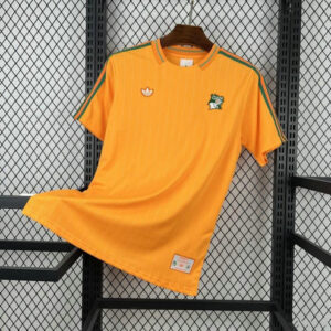 Maillot de foot Cameroun - 2026 - Terrace Icons orange
