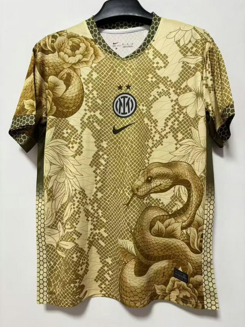 Maillot de foot Inter Milan 2025/2026 - Concept Or