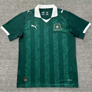 Maillot de foot Plymouth Argyle 2025/2026 - Domicile