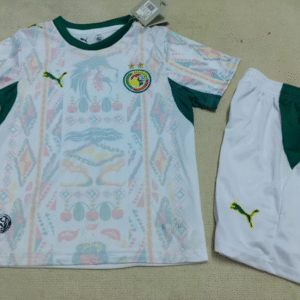 Ensemble Maillot Enfant Sénégal 2026 - Domicile