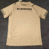 Maillot-Dortmund-2025-2026-gardien-de-but-beige-A-1.jpg