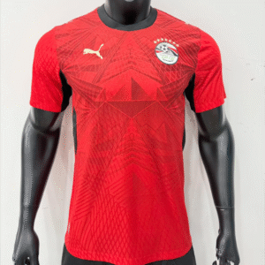 Maillot de foot Match Egypte - 2026 - Coupe Du Monde Domicile