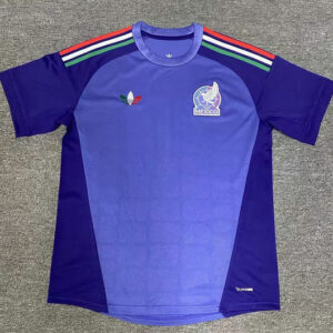 Maillot de foot Mexique Coupe du monde 2026 - Violet