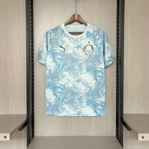 Maillot de foot Palmeiras 2026/2027 - Édition Spéciale Gris