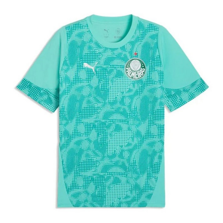 Maillot de foot Palmeiras 2026/2027