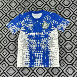 Maillot de foot Palmeiras 2026/2027 - Gardien De But