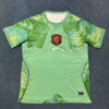 Maillot de foot Pays Bas Coupe du monde 2026 - Vert