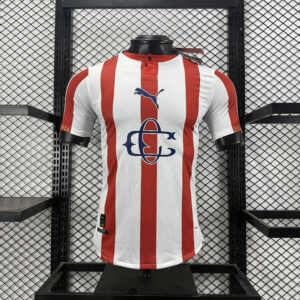 Maillot de foot Match Chivas Guadalajara CD 120 ans 2026/2027